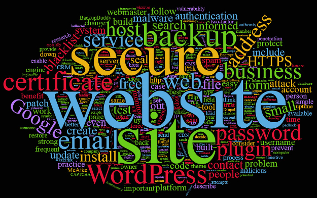 Website-security-word-cloud - small